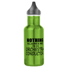 Nichts stört mich Orchesterdirigent