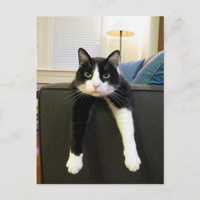 Nichts zu tun postkarte (Vorderseite)