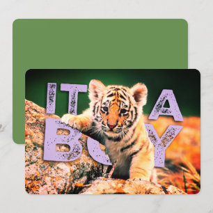 Nick-David-Baby - Tiger-Duschen-Einladung Einladung