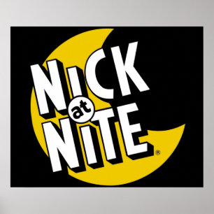 Nick in Nite Poster