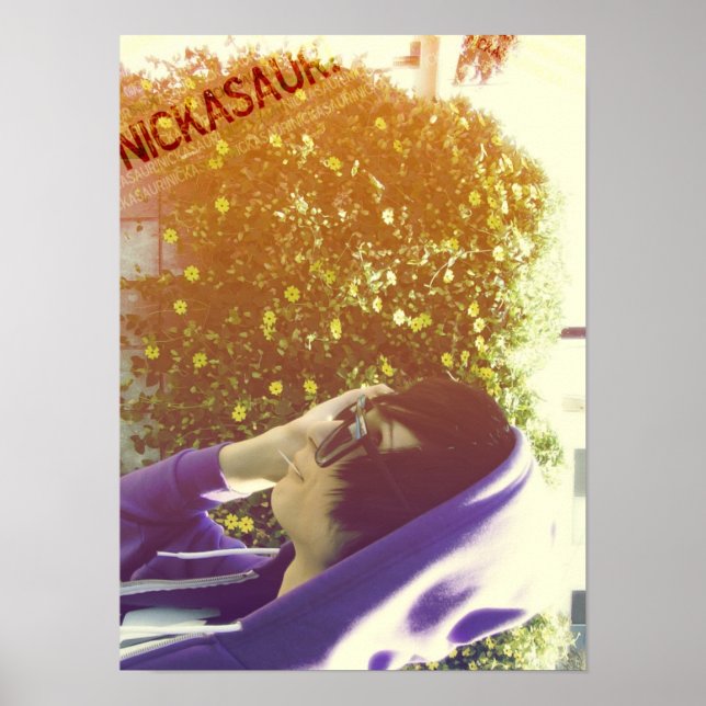 Nickasaur! Poster (Vorne)