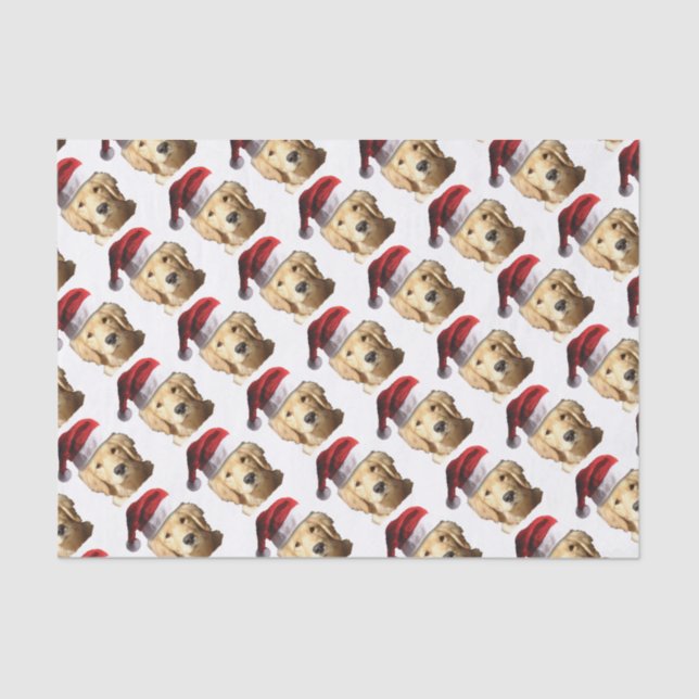 NICKEL-WITH-A-HAT-3 SEIDENPAPIER (Vorderseite)