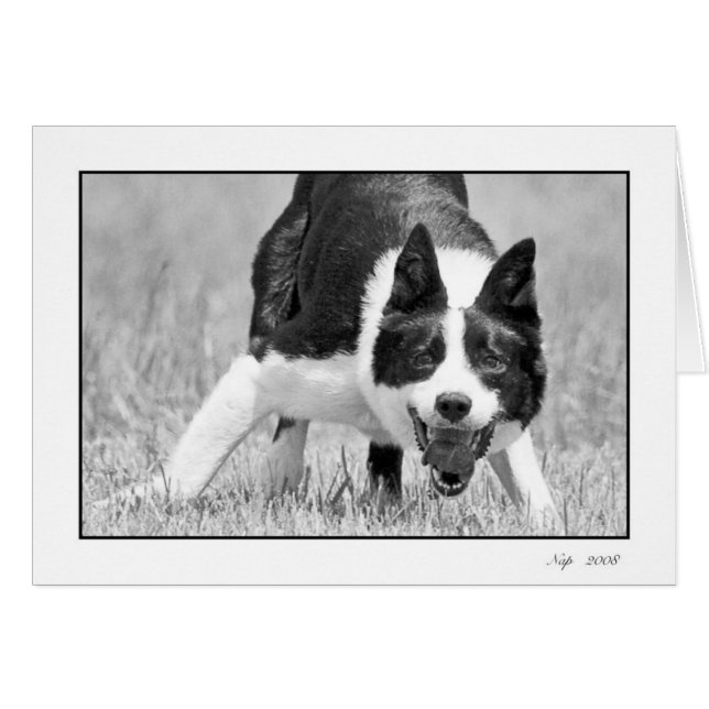 Nickerchen (Vorderseite (Horizontal))