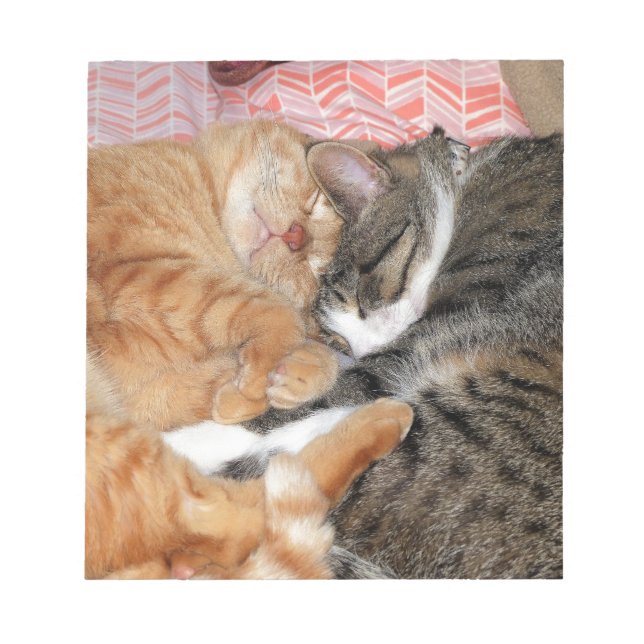 Nickerchen Buddies Notizblock (Vorderseite)