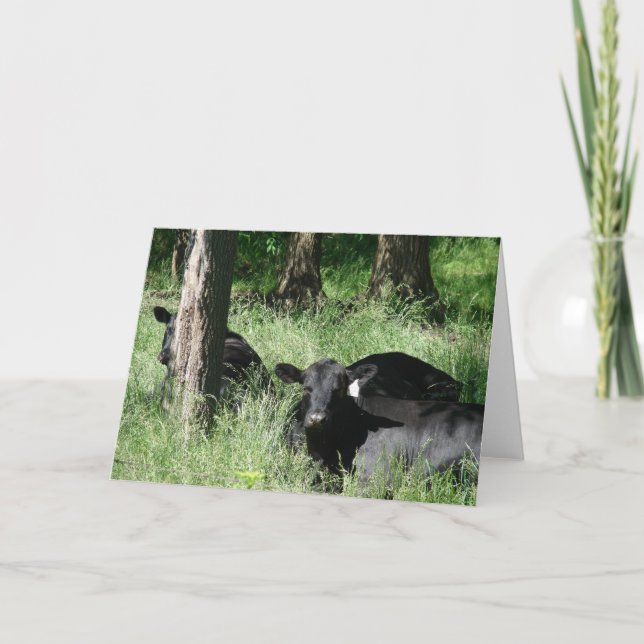 Nickerchen Karte (Vorderseite)