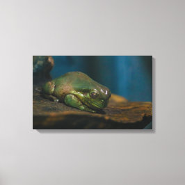 Nickerchen Leinwanddruck