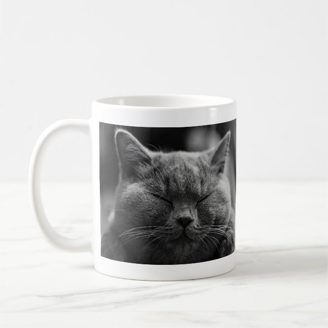 Nickerchen machende graue Katze Kaffeetasse (Links)