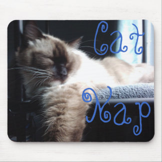 Nickerchen machende Ragdoll Katze Mousepad
