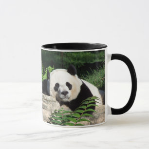 Nickerchen machender großer Panda Tasse