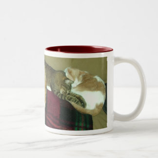Nickerchen machendes Trio Zweifarbige Tasse