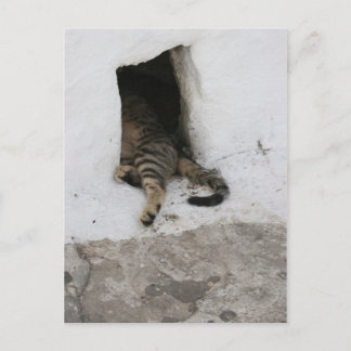 Nickerchen Postkarte