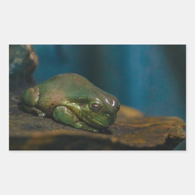 Nickerchen Rechteckiger Aufkleber (Vorderseite)