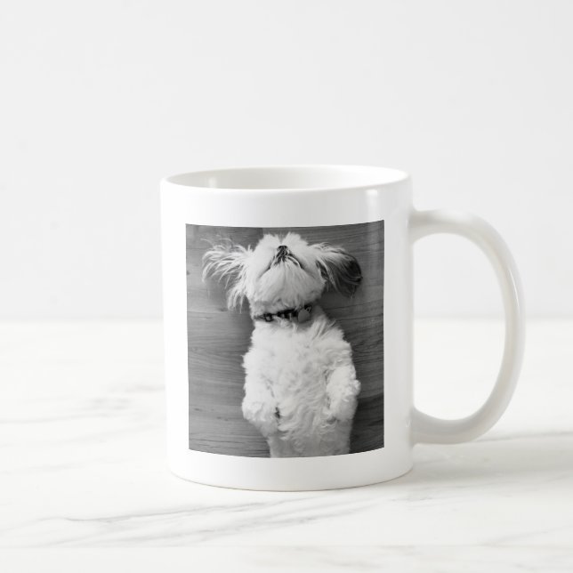 Nickerchen Shih Tzu Tasse (Rechts)