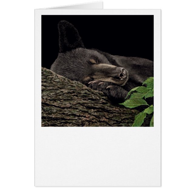 "Nickerchen Time" Bärenkarte (Vorne)