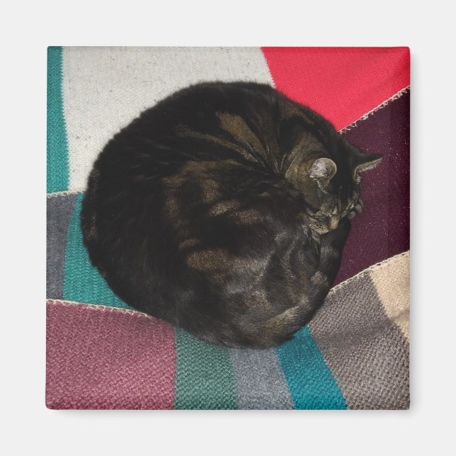 Nickerchen Time Dave Square Magnet (Vorne)