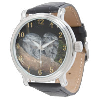 Nickerchen Time: Zwei junge schlaflose Frogmouth O