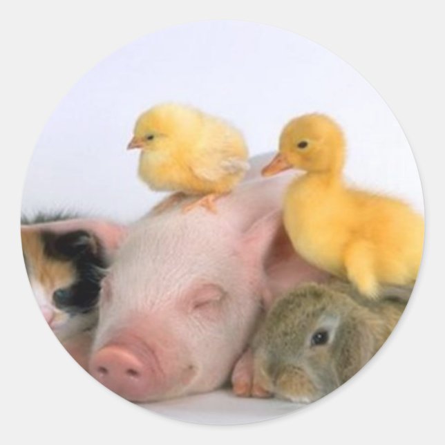 Nickerchen Zeit für die Tiere Runder Aufkleber (Vorderseite)