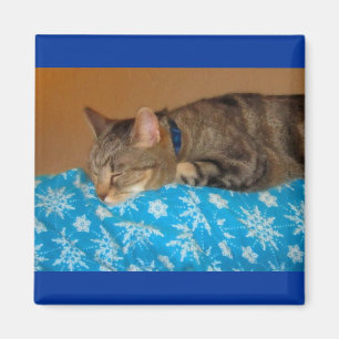 Nickerchen-Zeit für Indizierungen Magnet