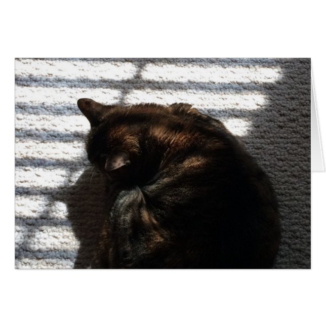 Nickerchen zur Mittagszeit (Vorderseite (Horizontal))