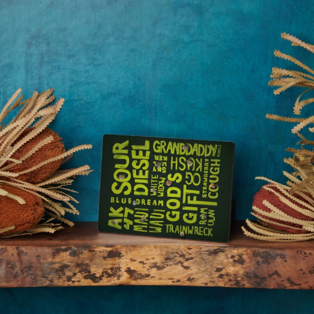 Nicknames Fotoplatte (Seite)