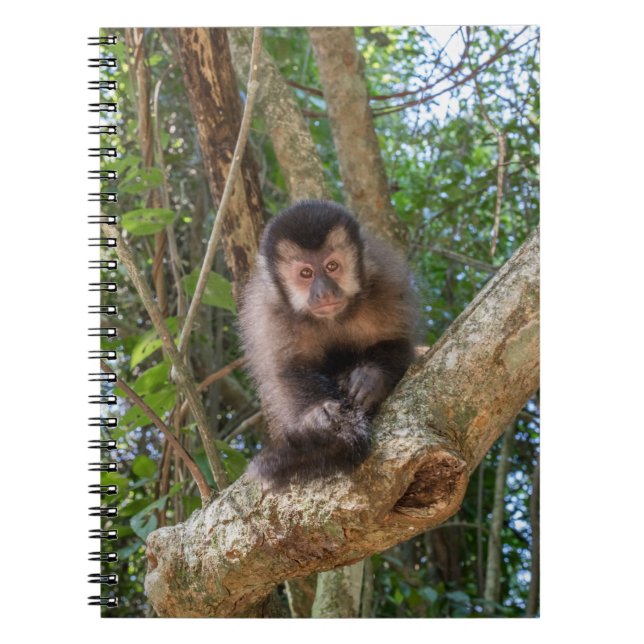 Nico Spiral Photo Notebook Notizblock (Vorderseite)