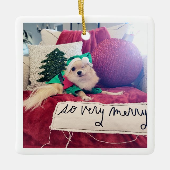 Nico Weihnachtsschmuck 2024 (Vorderseite)