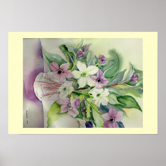 Nicotiana Bouquet Poster (Vorne)