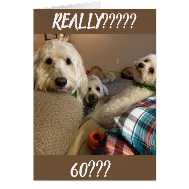 **NIE HABEN GÄSTE*** SIE KÖNNEN NICHT ***60*** (Vorne)