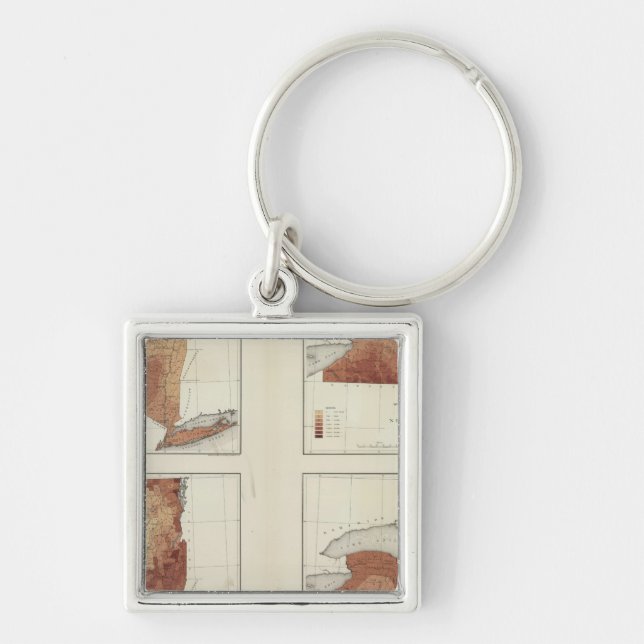 NIE Niederschläge, Bevölkerung, Höhenlage, Tempera Schlüsselanhänger (Vorne)