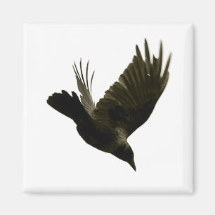 nie verstärkter Magnet