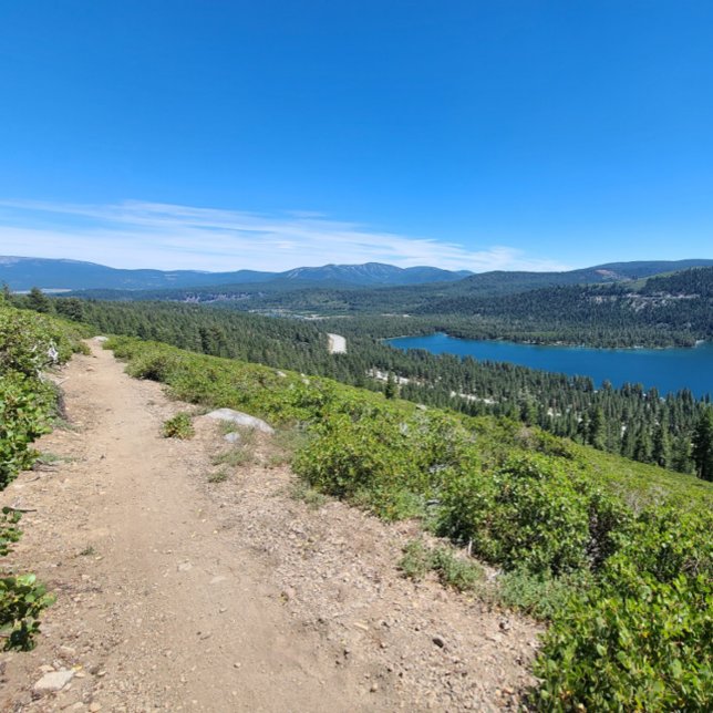 Nie! Vielleicht. Poster (Von Creator hochgeladen)