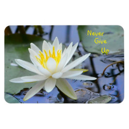 Nie Wasserlilie aufgeben Magnet