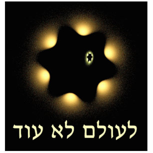 Nie wieder Fraktal Star von David Fotoskulptur Magnet