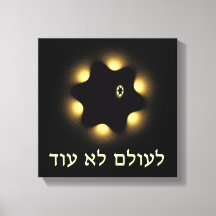 Nie wieder Fraktal Star von David