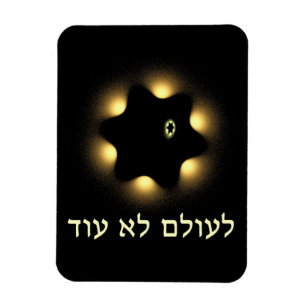 Nie wieder Fraktal Star von David Magnet