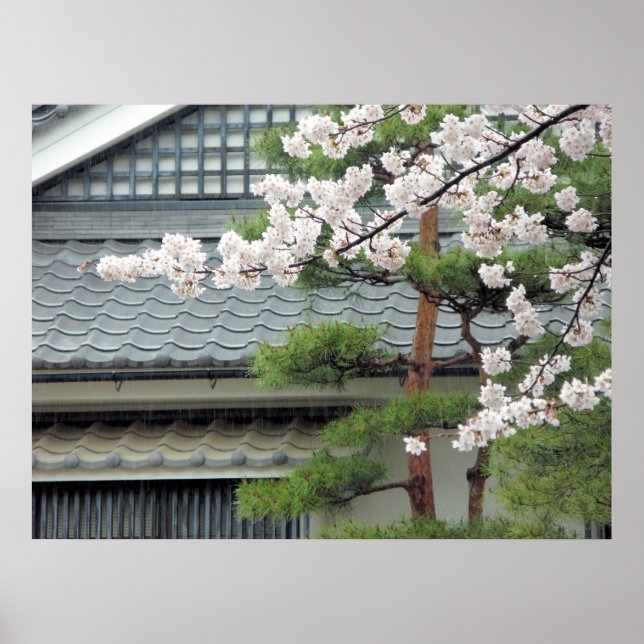 Niederlage im Regen Poster (Vorne)