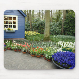 Niederlande alias Holland), Lisse. Keukenhof 11 Mousepad