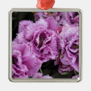 Niederlande (alias Holland), Lisse. Keukenhof 2 Silbernes Ornament