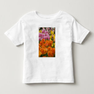 Niederlande alias Holland), Lisse. Keukenhof 4 Kleinkind T-shirt