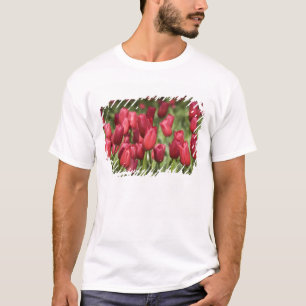 Niederlande (alias Holland), Lisse. Keukenhof 4 T-Shirt