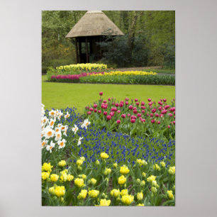 Niederlande alias Holland), Lisse. Keukenhof 5 Poster