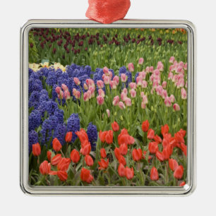 Niederlande alias Holland), Lisse. Keukenhof 9 Ornament Aus Metall