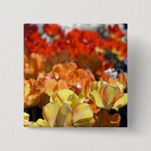 Niederlande alias Holland), Lisse. Keukenhof Button