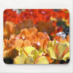 Niederlande alias Holland), Lisse. Keukenhof Mousepad