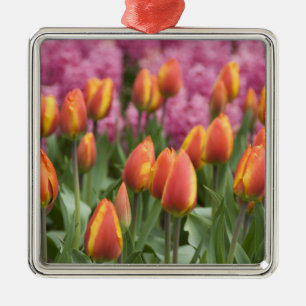 Niederlande (alias Holland), Lisse. Keukenhof Silbernes Ornament