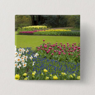 Niederlande (auch bekannt als Holland), Lisse. Keu Button