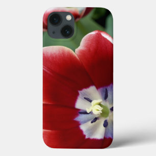 Niederlande (auch Holland genannt), Lisse. Keukenh Case-Mate iPhone Hülle