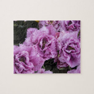 Niederlande (auch Holland genannt), Lisse. Keukenh Puzzle