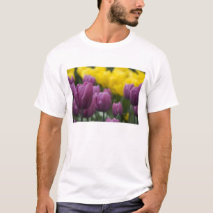 Niederlande (auch Holland genannt), Lisse. Keukenh T-Shirt