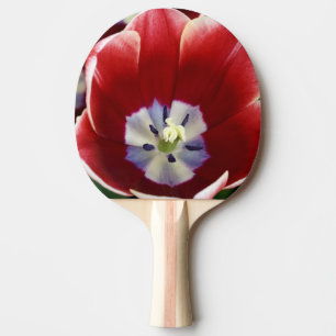 Niederlande (auch Holland genannt), Lisse. Keukenh Tischtennis Schläger